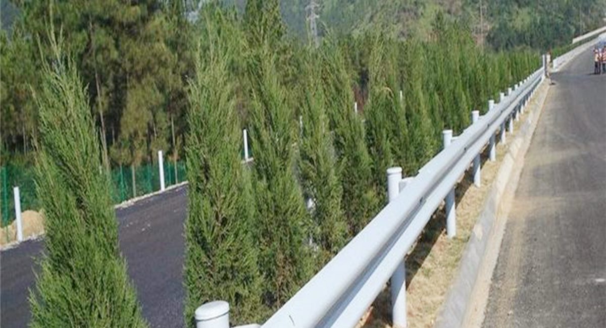 波形護欄板、鄉(xiāng)村道路護欄、單波護欄板世騰加工定制